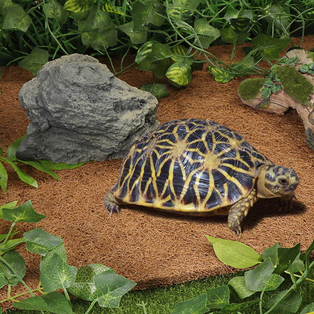Tapis de substrat pour reptile - Substrate Coconut Fiber avis et prix