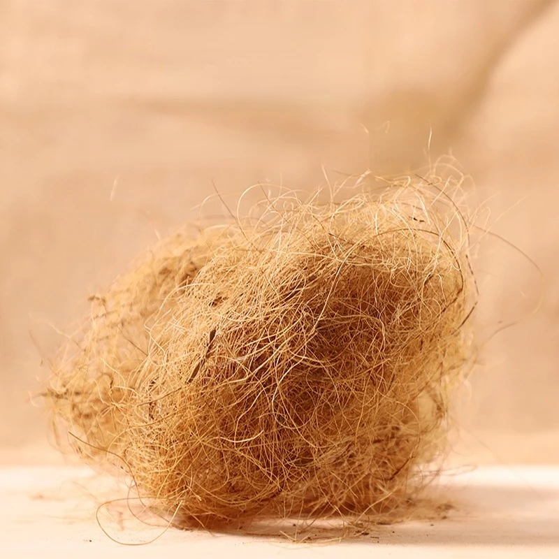 100g Substrat de litière en fi - Substrate Coconut Fiber avis et prix